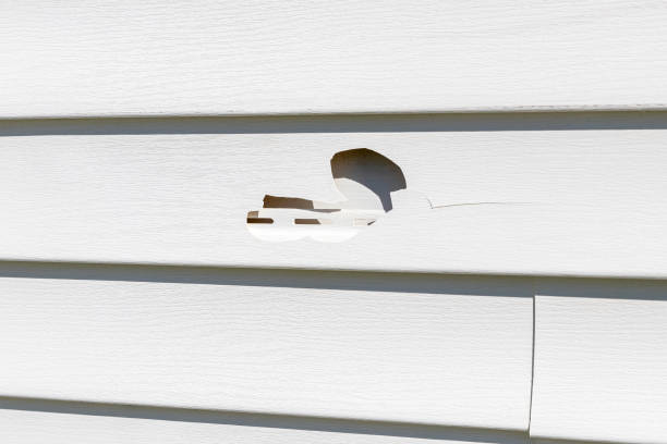 Best Construction Debris Removal  in Forestville, CA