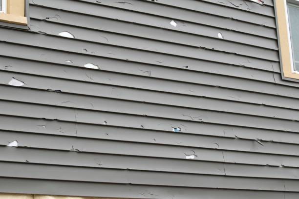 Best Same-Day Junk Removal Services  in Forestville, CA