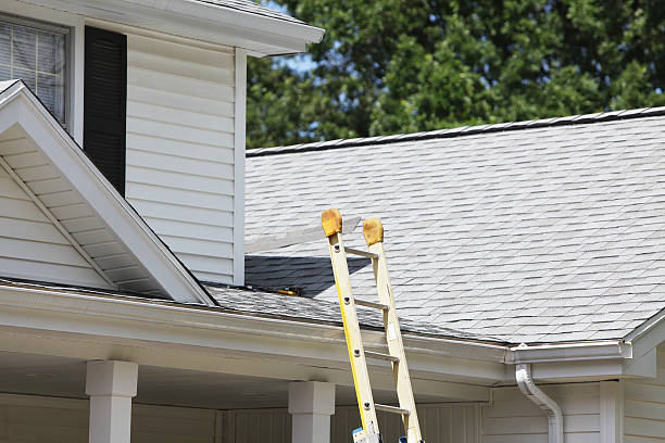 Best Construction Debris Removal  in Forestville, CA